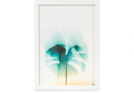 A3 Tropical Haze Wall Art £70