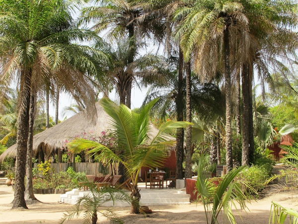 Holiday of a lifetime in The Gambia
