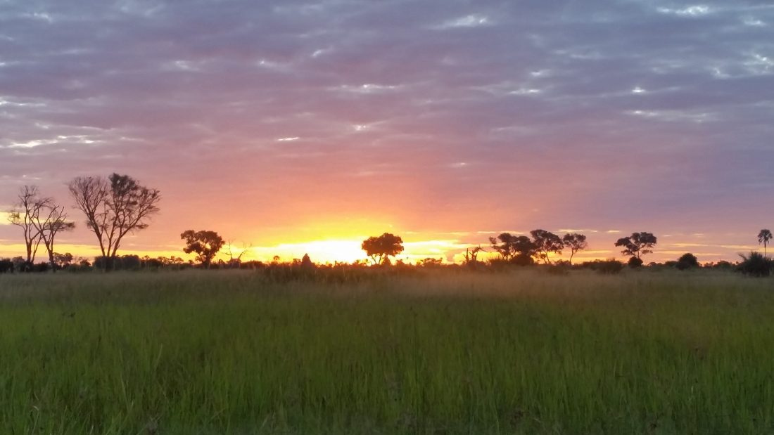 Seven Days of Wonder in Beautiful Botswana