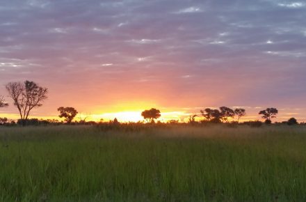 Seven Days of Wonder in Beautiful Botswana