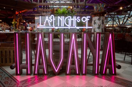 Last Nights of Havana