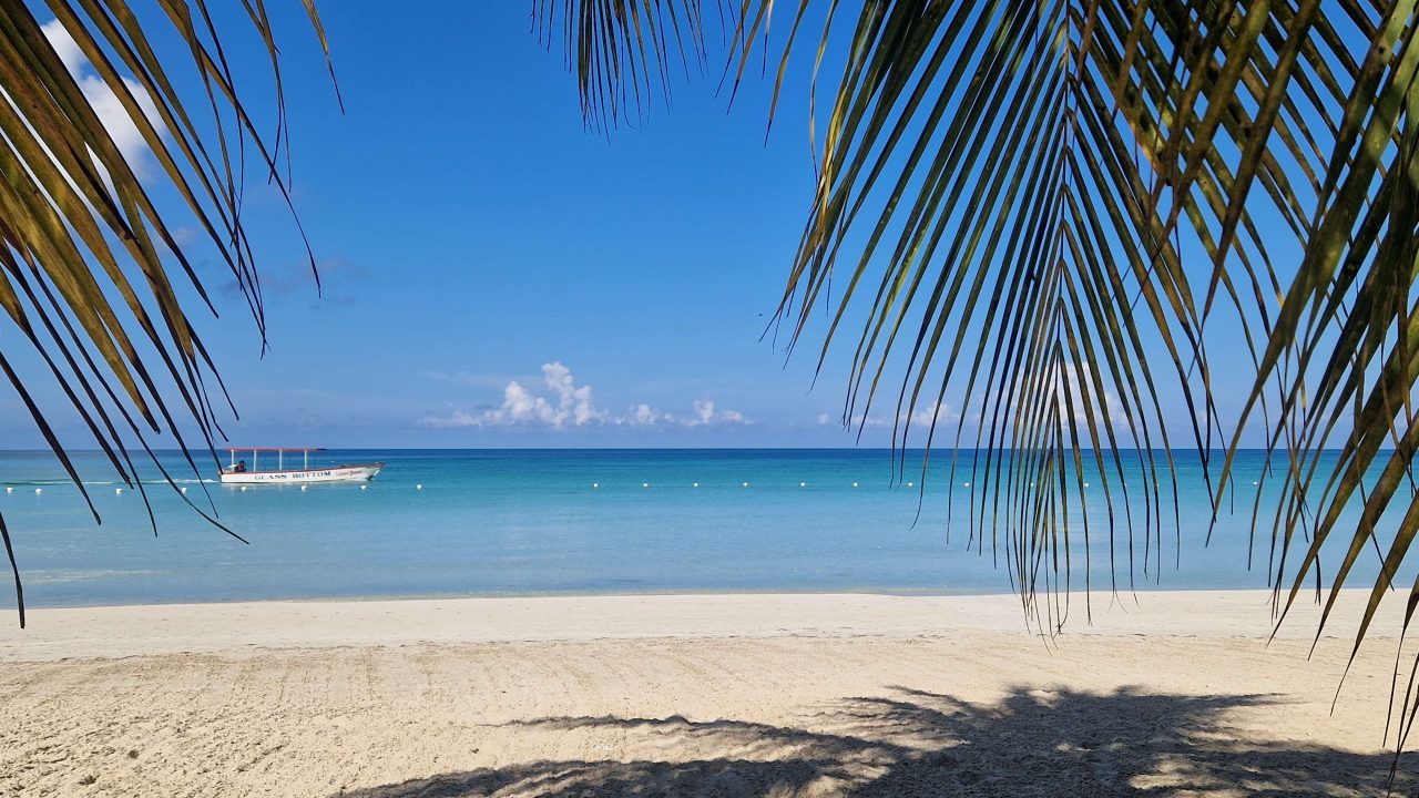 Kingston Jamaica An insider’s guide on what to see and do