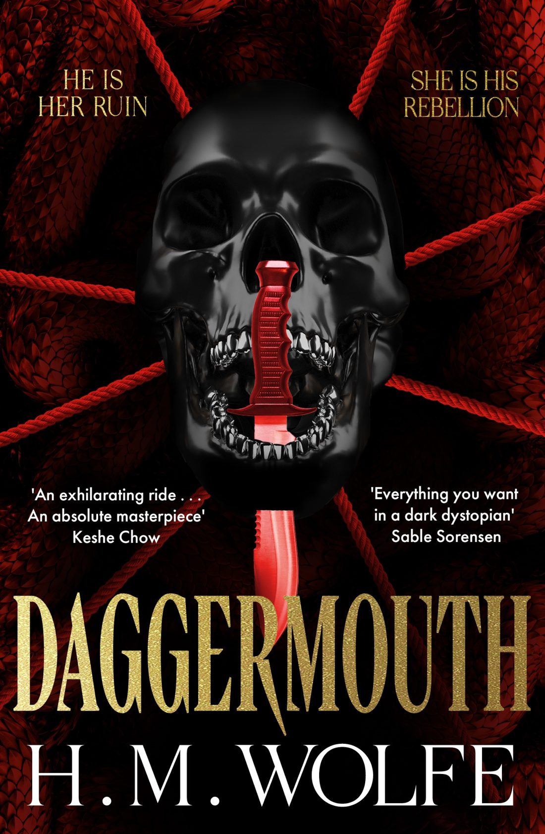 Daggermouth by H.M Wolfe - Book cover